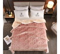 Velvet Fleece Blanket for Winter - 2 Ply Heavy Warm Korean Style Bed Blanket - Reversible Printed Raschel Queen Size Blanket,F,200x230cm