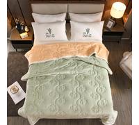 Velvet Fleece Blanket for Winter - 2 Ply Heavy Warm Korean Style Bed Blanket - Reversible Printed Raschel Queen Size Blanket,F,200x230cm
