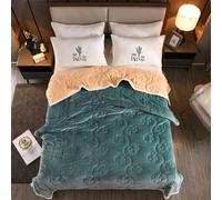 Velvet Fleece Blanket for Winter - 2 Ply Heavy Warm Korean Style Bed Blanket - Reversible Printed Raschel Queen Size Blanket,F,200x230cm