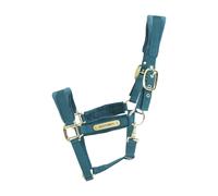 Velvet halter Kentucky