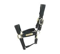 Velvet halter Kentucky