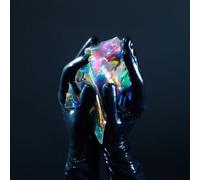 Enchanted By The Muse [VINYL]