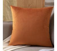 Velvet Pillow Cases Square Extra Large Cushion Covers 50x50, 60 x 60,50x70,60x80 cm Soft Pillow Cover with Invisible Zipper Decorative Pillowcases 2 Pack for pillows Sofa Couch(#13,60x60 cm(Set of 2 )