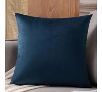 Velvet Pillow Cases Square Extra Large Cushion Covers 50x50, 60 x 60,50x70,60x80 cm Soft Pillow Cover with Invisible Zipper Decorative Pillowcases 2 Pack for pillows Sofa Couch(#16,50x70 cm(Set of 2 )