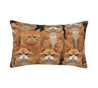 Velvet Pillowcases 20"x30" Ultra Soft Breathable Pillow Cases, Luxury Fuzzy Throw Pillow Covers with Zipper, Orange Cats Pillow Shams Decorative Cushion Cases for Couch