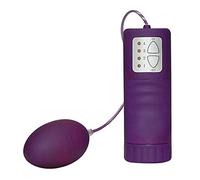 Velvet Purple Vibrator Bullet