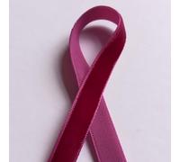 Velvet Ribbon Trim - 10mm Wide Wine Red - Per Metre