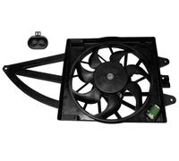 VEMO V24-01-1294 Fan, radiator