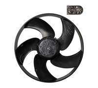 VEMO V42-01-1110 Fan, radiator