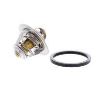 VEMO V24-99-0018 Thermostat
