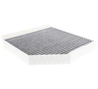 VEMO V10-31-2531 Pollen filter