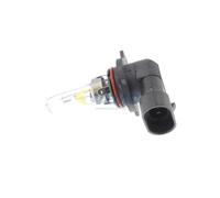 VEMO V99-84-0080 Bulb, spotlight