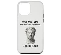 Veni Vidi Vici Now About These TPS Reports Julius Czar Case for iPhone 12 mini