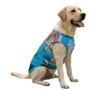 Venice Italy Dog And Cat Clothes Pet Summer Cooling Sleeveless Shirt