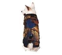 Venice Night Printed Dog Hoodie Soft Dog Sweatshirt Cute Cat Dog Clothes for Small Dogs Kitten Puppy, M