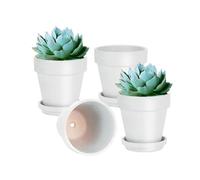 vensovo 15CM White Terracotta & Clay Pots for Plant with Saucer - 4 Pack Medium Terra Cotta Planter with Drainage Hole, Flowerpot for Indoor Outdoor Plants, Crafts, Wedding Favor