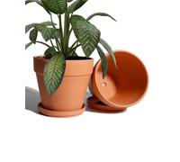vensovo 20CM Clay Pot for Plant with Saucer - 2 Pack Large Terra Cotta Plant Pot with Drainage Hole, Clay Planters Pot, Terracotta Pot for Indoor Outdoor Plant