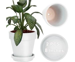 vensovo 20CM White Clay Pot for with Saucer - 2 Pack Large Terra Cotta Plant Pot with Drainage Hole, Flower Pot with Tray, Terracotta Pot for Indoor Outdoor
