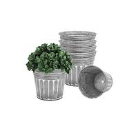vensovo 5 Inch Galvanized Planters for Outdoor Plants - 6Pcs Silver Metal Rustic Flower Plant Pots with Drain Hole and Rubber Stopper, Rustproof Metal Bucket Planters Vintage Style for Indoor Decor