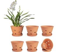 vensovo 6 Pack 10 cm Terracotta Orchid Pots with Holes and Saucers