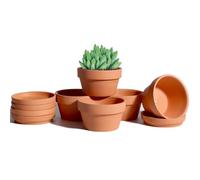 Vensovo 6 Pack 11.4 cm Shallow Terracotta Succulent Pots with Saucers