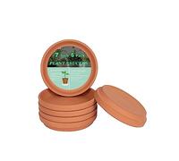 vensovo 6 Pack 17.8 cm Terracotta Plant Saucers for 15-17.8 cm Pots