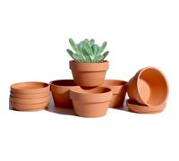 Vensovo 6 Pack 9.4 cm Shallow Terracotta Succulent Pots with Saucers