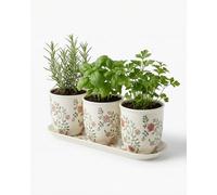 vensovo Ceramic Planter Set with Tray, 3 Small Herb Pots, Green Leaf
