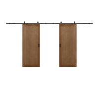 Vente-unique - Double Sliding Door with Rail - MDF & Wood - Dark Wood - 2 x 205 x 93 cm - Sandora