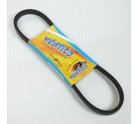Ventico drive belt for Mobylette Peugeot 50 103 BB D24 / 806x14.5 New
