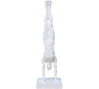 Venture Vehicles Ltd Interesting Posed Gymnastics Handstand Man | WHITE | Art Sculpture Ornament | Resin
