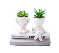 VENY TAYA 2 PCS Unique Artificial Plants Succulents Office Decor for Women and Men, Small Fake Plants with Human-Shaped Pots, Cute Faux Plants Indoor for Office or Home Decoration, White