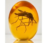 VEOJEIN 3D Jurassic Mosquito - Mosquito in Amber - Realistic Jurassic Collectible - Flat Bottom Resin Paperweight - Dinosaur DNA