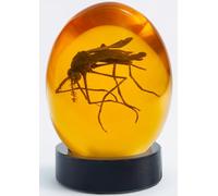 VEOJEIN Jurassic 3D Mosquito in Amber with Wooden Base | True 3D Original Design Realistic Flat Bottom Shaped | Dinosaur DNA Replica Prehistoric World | Collectable Prop | Cane Mount | Paper Weight