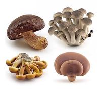 vepoty Artificial Mushroom 4pcs/set Simulation Model Lifelike Vegetable Fake Landscape Mushroom for Home Garden Decor