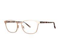 Vera Wang Domina Men's Glasses, Rose-Gold, Size 52