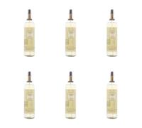 Vera Wang Embrace Green Tea and Pear Blossom Body Mist, 240ml, Pack of 6