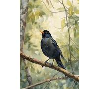VeraBird: The Blackbird: A Minimalist Blank Notebook Inspired by Nature | 110 Pages | 6x9 Journal for Writing, Notes & Creativity