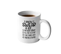 Veracco I Know I Swear A Lot I'm Sorry I'll Try To Stop You Are Stupid Ceramic Coffee Mug Funny Sarcastic Gift (White, Porcelain)