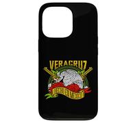 Veracruz México Souvenir Mexican Vacation Matching Family Case for iPhone 13 Pro