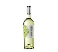 Veramonte Organic Chilean Sauvignon Blanc 75cl bottle, Casablanca Valley