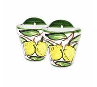 Verano Spanish Ceramics Lemons Hand Painted Set Of 2 Outdoor Garden Patio Hanging Plant Pots (D) 22Cm