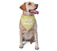 vercosee Big Brother Gender Reveal Baby Announcement Dog Bandana Matching Family Triangle Dog Bandana for Dogs (Yellow)