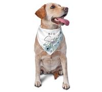 vercosee Big Sister Dog Bandana,Gender Reveal,Baby Announcement Bandana,Pet Scarf, Pet Accessories for Dog Lover Owner (Blue Flower)