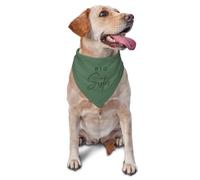 vercosee Big Sister Dog Bandana,Gender Reveal,Baby Announcement Bandana,Pet Scarf, Pet Accessories for Dog Lover Owner (Green)