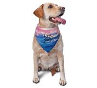 vercosee He Or She What Will It Be? Gender Reveal/Baby Announcement Dog Bandana,Pet Neckerchief for Pets Daily Wear Photo Prop Party Supplies (Oil Paint Style)