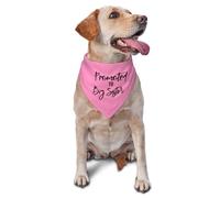 vercosee Promoted to Big Sister Dog Bandana Moms Pregnant Dog Bandanas,Pregnancy Announcement Dog Bandana Pet Scarf, Pet Accessories (Pink-2)