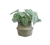 VerdantCharm Artificial Heart Leaf Plant in Pot | 36cm White Faux Potted Greenery for Desk, Shelf, Office & Bathroom | Indoor Tabletop Decor