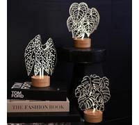VerdantCharm Begonia, Crystal Anthurium, Monstera Deliciosa 3-Pack Night Light Soft LED Nursery Light Set for Baby, Bedroom & Desk | Energy-Saving, Safe Acrylic Plant Decor Lights
