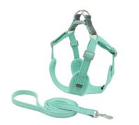 VERDANVERSE 1Set Convenient Puppy Harness Wear Resistant Dog Leash No Pull Thoughtful Reflective Features for Night Use Lightweight Easy to Carry